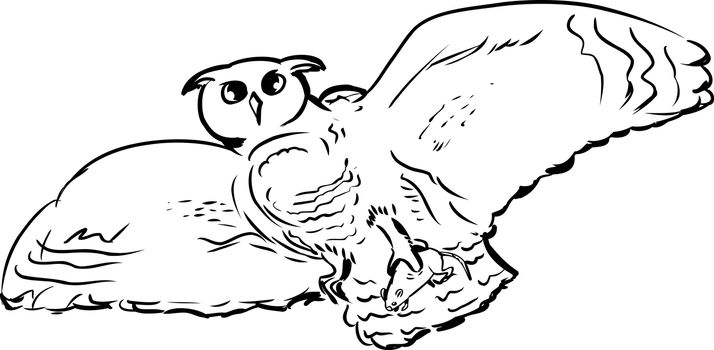 Outlined illustration of single owl with captured prey in claws