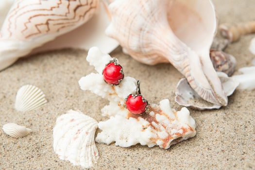 seashells and red earrings on sand at the beach