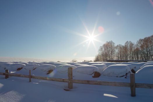 bales of hay in a winter field under the snow