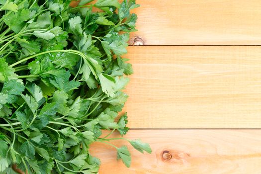 Newly washed fresh Italian parsley on a wooden table for use as a garnish in cooking and salads, overhead view
