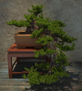 Decorative bonsai tree standing on a wooden table