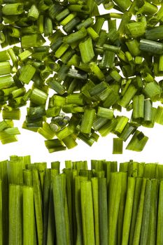 bunch of fresh chives isolated on white background.