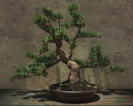 Decorative bonsai tree standing on a wooden table