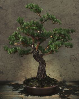 Decorative bonsai tree standing on a wooden table