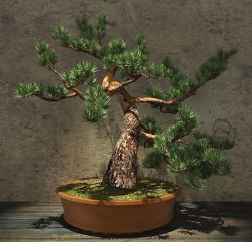 Decorative bonsai tree standing on a wooden table