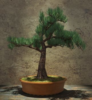 Decorative bonsai tree standing on a wooden table