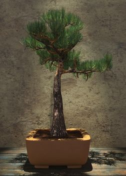 Decorative bonsai tree standing on a wooden table