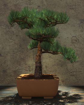 Decorative bonsai tree standing on a wooden table