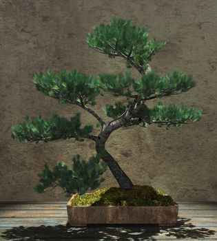 Decorative bonsai tree standing on a wooden table