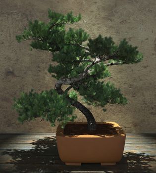 Decorative bonsai tree standing on a wooden table