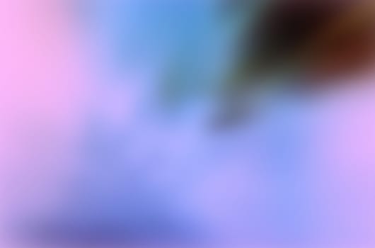 Blurred color pink to violet abstract background