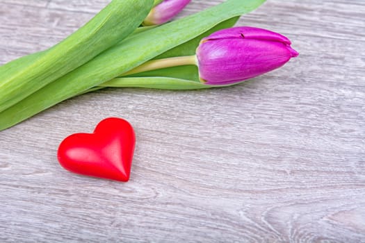 Violet tulip and red heart on a wooden background
