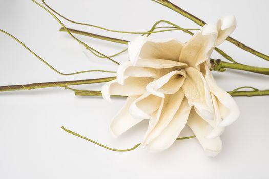 Elegant spring flower, fake gardenia on white background. For wedding background image.