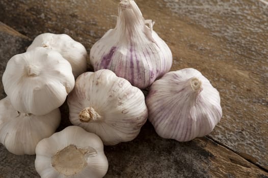 Pile of seven whole white and purple garlic bulbs on old wooden table ready to break apart and eat