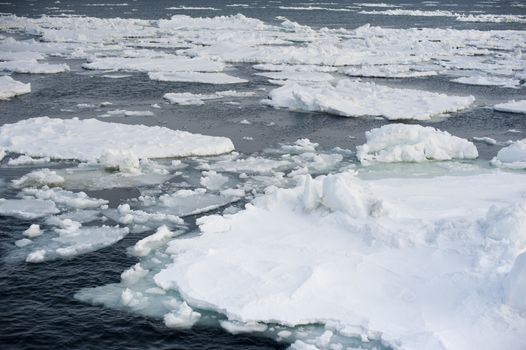 Floating pieces of the Abashiri ice drift in cold ocean near Hokkaido Japan