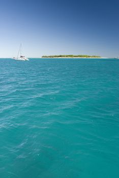 Tranquil tree lined island on green and blue ocean horizon with sailboat in foreground and copy space