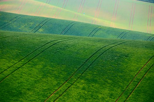 Green spring hills. Arable lands in Moravia