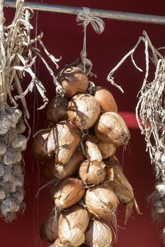 dried onion and garlic drying in the sun.