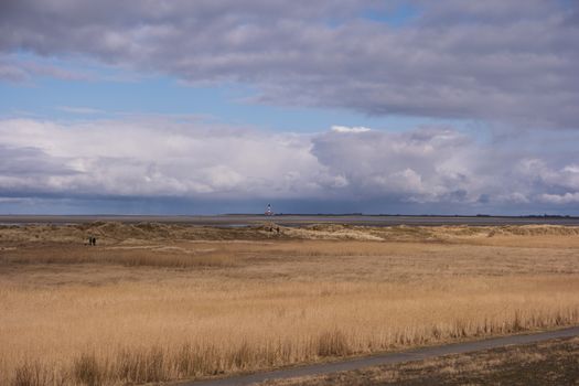 On the Beach of St. Peter-Ording in Germany