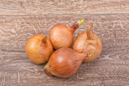 Mature brown onions on a wooden background