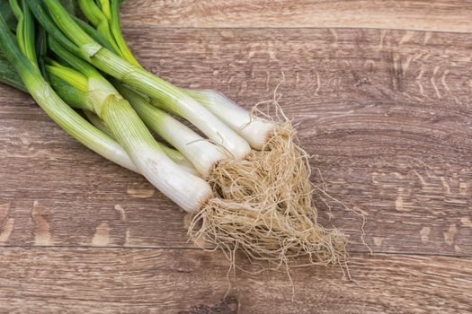 Spring onion on a brown wooden background