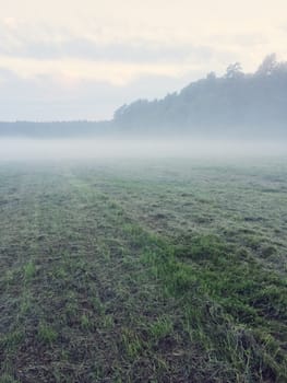 Misty field with freshly mown grass. Rural landscape at dawn.