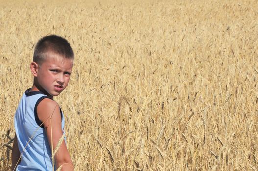 Boy in wheat field under sky sun light