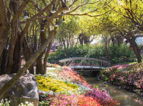 wooden bridge in flower garden tropical flower garden