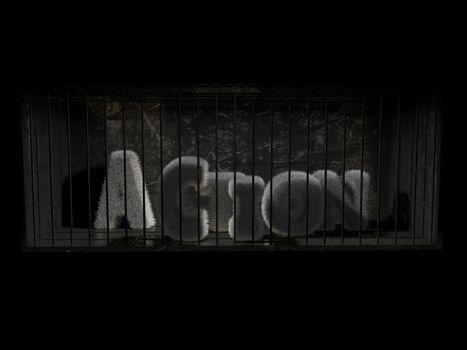 A fluffy word (action) with white hair behind bars with black background.