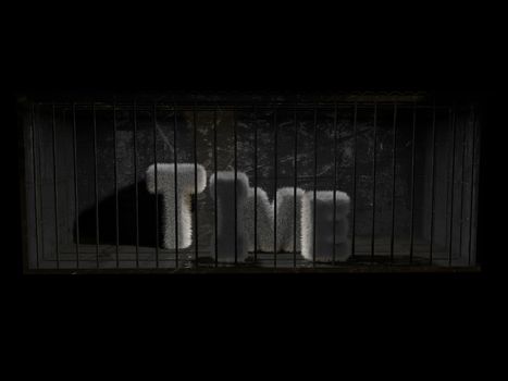 A fluffy word (time) with white hair behind bars with black background.