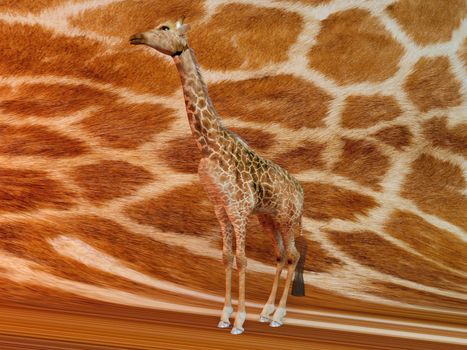 Giraffe with same texture background