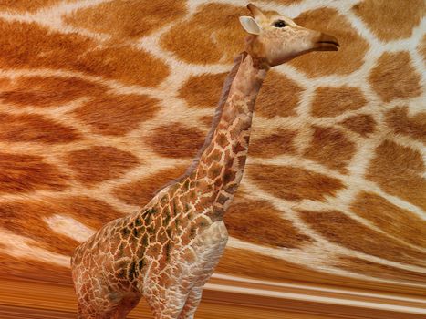 Giraffe with same texture background