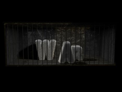 A fluffy word (war) with white hair behind bars with black background.