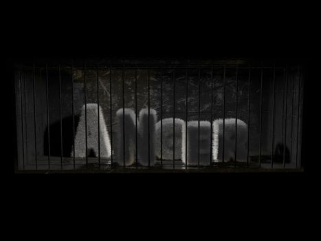 A fluffy word (anger) with white hair behind bars with black background.