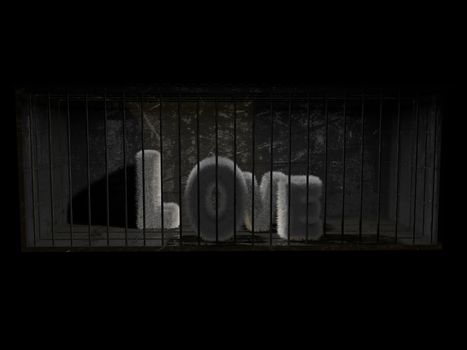 A fluffy word (love) with white hair behind bars with black background.