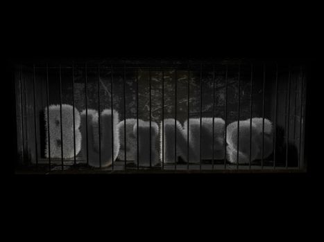 A fluffy word (business ) with white hair behind bars with black background.