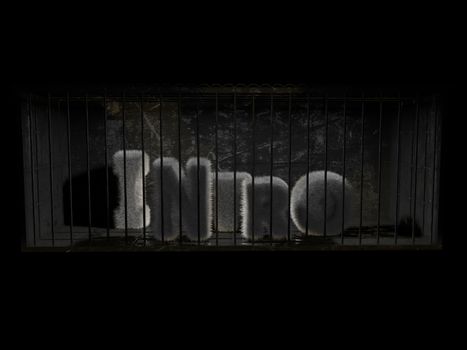 A fluffy word (intro) with white hair behind bars with black background.