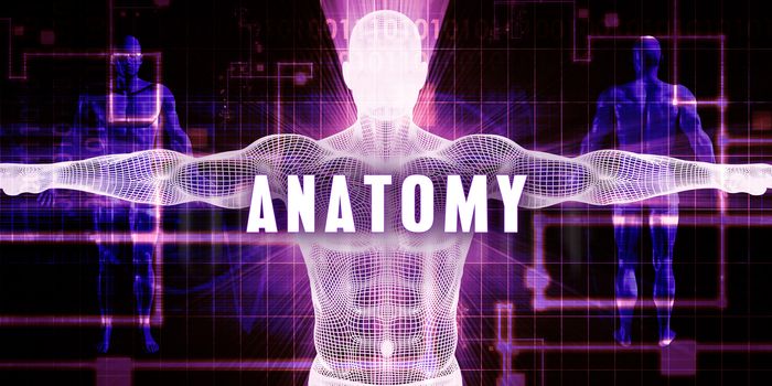 Anatomy as a Digital Technology Medical Concept Art