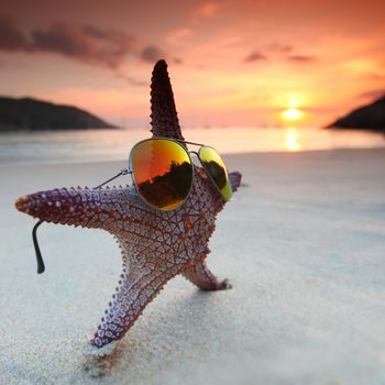 Starfish in sunglasses on the beach and beautiful sunset over the sea background