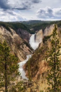 Lower Falls of the Grand Canyon of Yellowstone, Yellowstone National Park, Wyoming