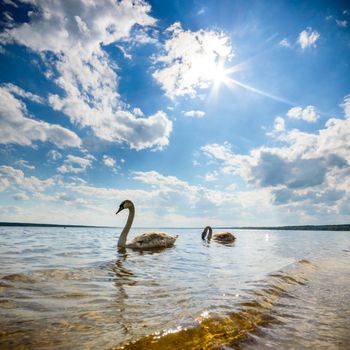 blue sky, natural clouds, nature series