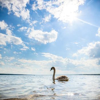 blue sky, natural clouds, nature series