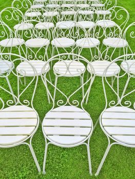 Rows of white chairs on green grass.
