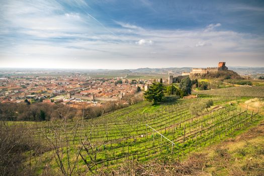 view of Soave (Italy) surrounded by vineyards that produce one of the most appreciated Italian white wines, and its famous medieval castle.