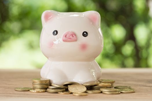 piggybank with golden coins in nature background. account concept,business concept,finance concept.