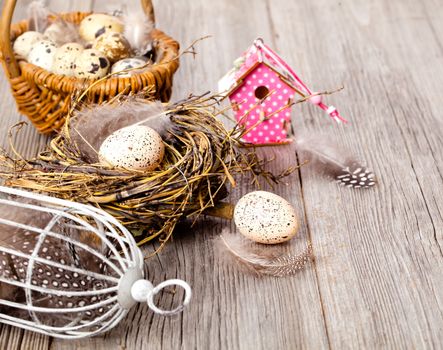 easter eggs on white wooden background