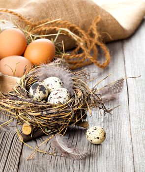 quail eggs on wooden background