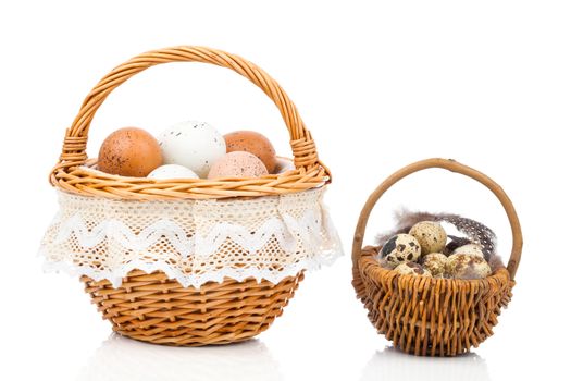 chicken eggs and quail eggs in basket, on white background