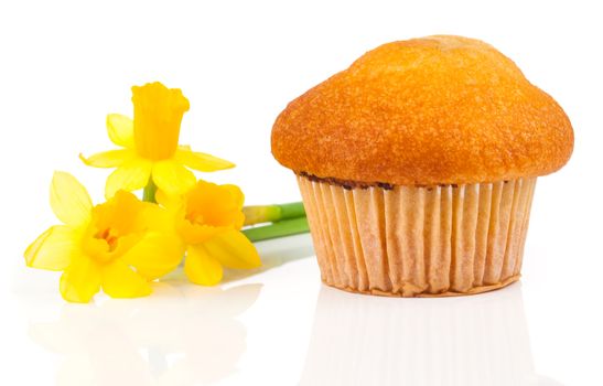 muffins, isolated on white background