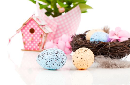 easter decoration on white background with color egg and with birdhouse, with space for text